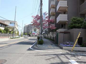敷地北側の前面道路