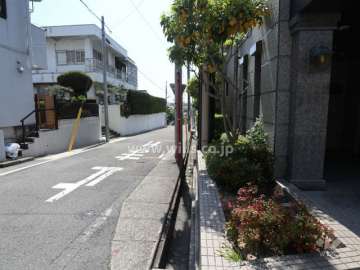 敷地東側の前面道路
