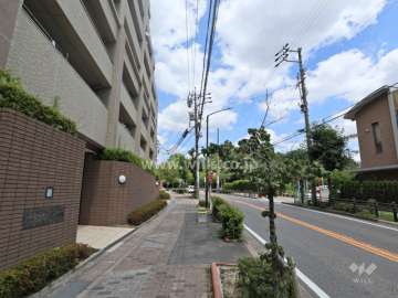敷地南側の前面道路