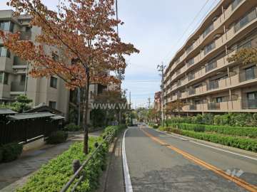 敷地の北側前面道路（東側から）