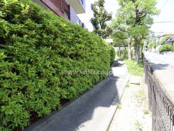敷地内の通路