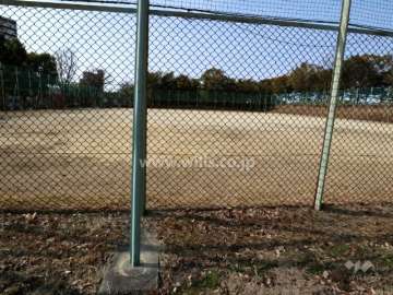 近隣の公園