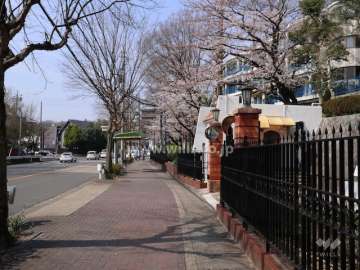 敷地南側の前面道路