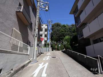 敷地東側の前面道路（南側から）