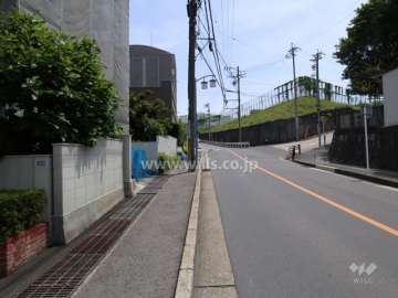 敷地西側の前面道路（北側から）