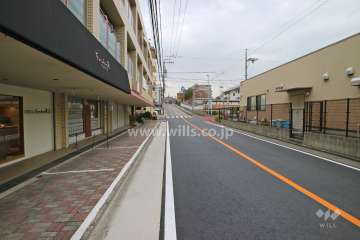 敷地南側の前面道路（西側から）