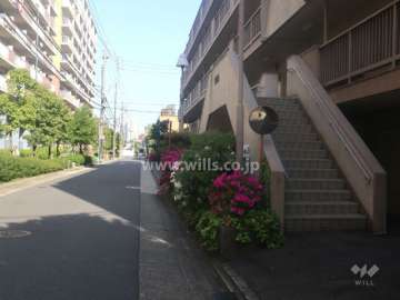 敷地北側の前面道路