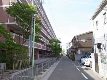 敷地東側の通り。周辺には一戸建てが中心に立ち並んでいます。