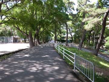 敷地西側の天竺川沿いの道路。