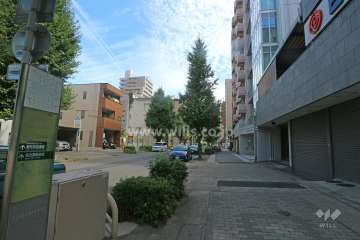 敷地北側の前面道路（西側から）