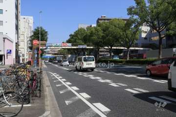 敷地東側の前面道路（南側から）