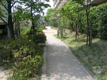 敷地内は植栽が多く、緑豊かです。