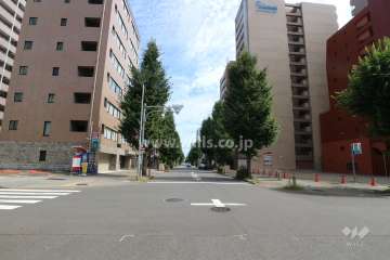 敷地北側の前面道路（東側から）