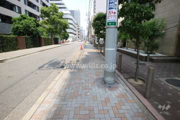 敷地の西側前面道路（南側から）