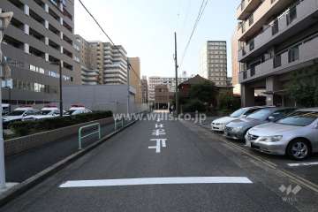 敷地南側の前面道路（東側から）