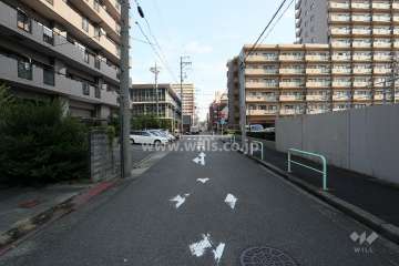 敷地南側の前面道路（西側から）