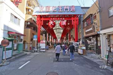 敷地南側の前面道路（西側から）