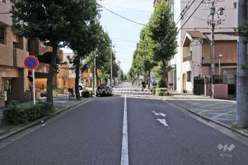 敷地西側の前面道路（北側から）