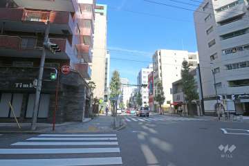 敷地東側の前面道路（南側から）