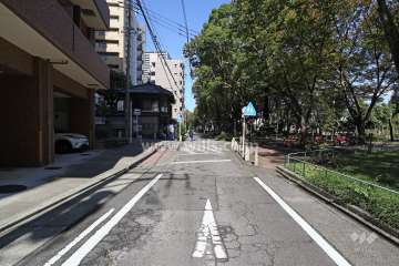 敷地東側の前面道路（南側から）