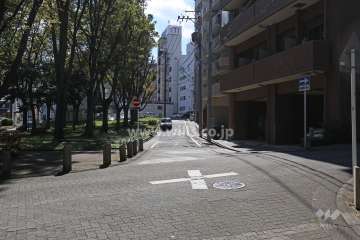 敷地東側の前面道路（北側から）