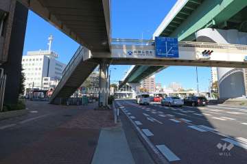 敷地東側の前面道路（南側から）