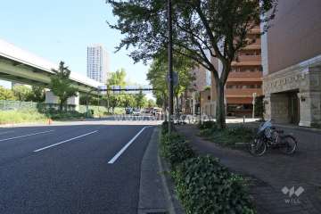 敷地北側の前面道路（西側から）