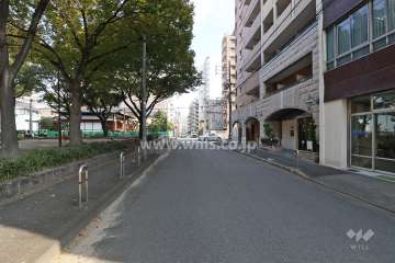 敷地北側の前面道路（西側から）