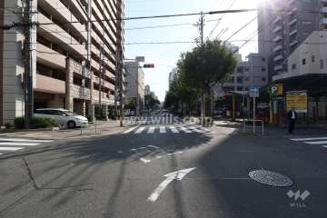 敷地西側の前面道路（北側から）