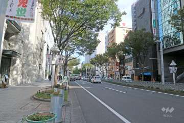 敷地北側の前面道路（東側から）