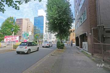 敷地北側の前面道路（西側から）