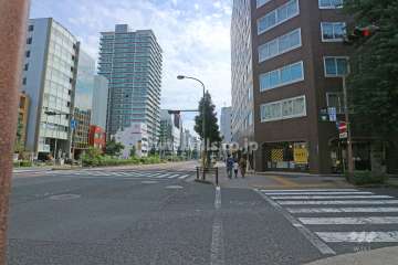 敷地東側の前面道路（北側から）