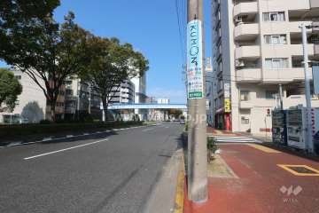 敷地西側の前面道路（南側から）