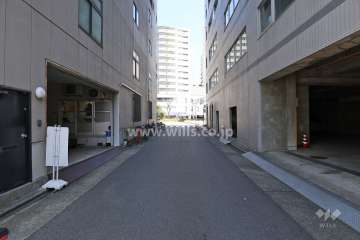 敷地北側の前面道路（西側から）