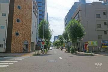 敷地西側の前面道路（北側から）