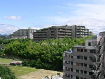 敷地の南側と西側には竹林と田畑が広がっています