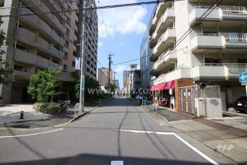 敷地の西側前面道路（南側から）