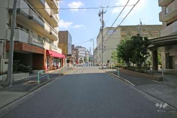 敷地の西側前面道路（北側から）