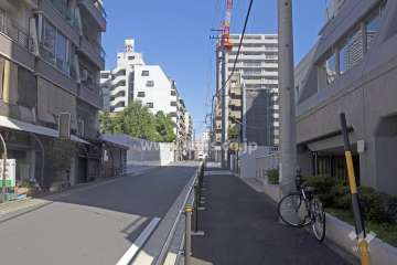 敷地北側の前面道路（西側から）