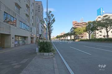 敷地東側の前面道路（南側から）