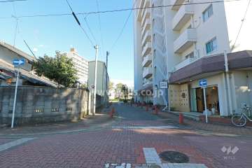 敷地北側の前面道路（西側から）