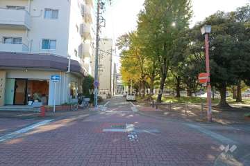 敷地西側の前面道路（北側から）