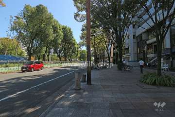 敷地東側の前面道路（北側から)