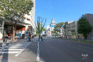 敷地南側の前面道路（西側から）