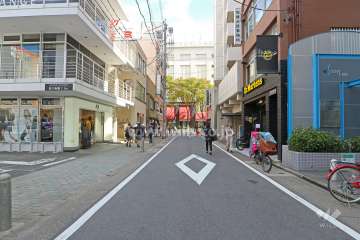 敷地北側の前面道路（西側から）