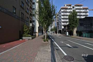 敷地東側の前面道路（南側から）