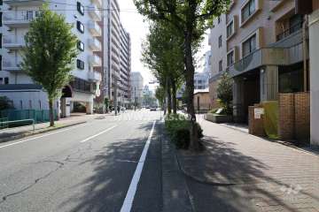 敷地東側の前面道路（北側から）