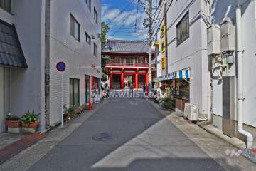 敷地西側の前面道路（南側から）