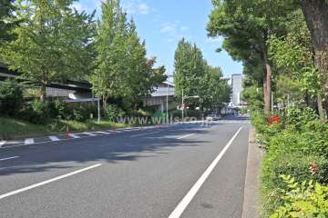 敷地南側の前面道路（東側から）