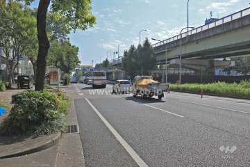 敷地南側の前面道路（西側から）